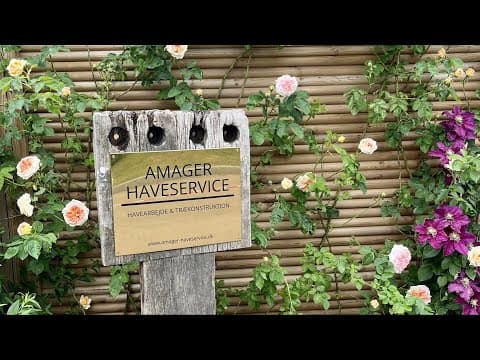 Fra tilgroet vildnis til familiehave